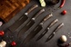 Set of 5 Kitchen Knives, SAKURA 3claveles OH0018, Spain