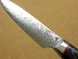 Vegetable knife Petty 90 mm, VG-10 33 layers Damascus, Kanetsugu SAIUN 9000, Japan