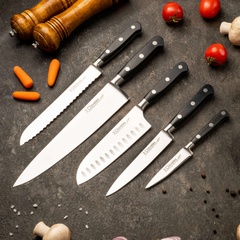 Set of 5 kitchen knives, Forgé 3claveles OH0029, Spain
