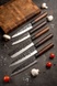 Набор из 5 кухонных ножей, OSAKA 3claveles OH0001, Испания