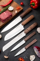 Set of 5 Kitchen Knives, Oslo 3claveles OH0081, Spain
