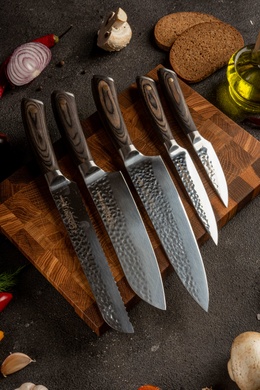 Set of 5 Kitchen Knives, SAKURA 3claveles OH0005, Spain